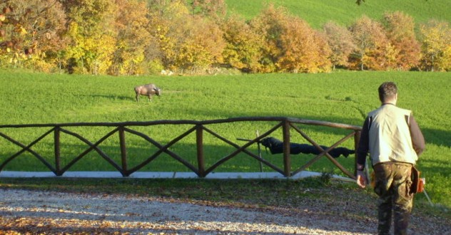 Vacanza Sportiva: primo Agriturismo in Italia con attività di tiro con l’arco