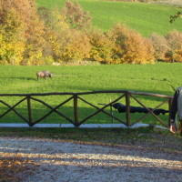 Agriturismo Le Ceregne in Toscana con attività di tiro con l'arco.