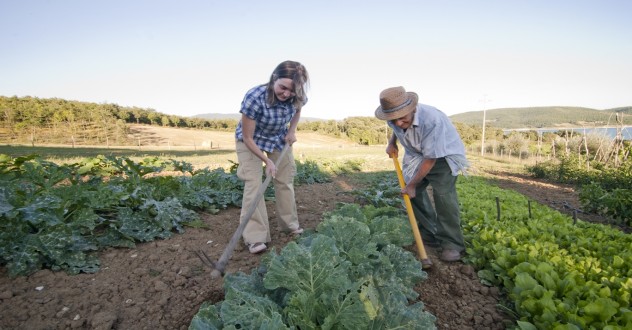 Prodotti a km O per un turismo sostenibile in Valtiberina Toscana