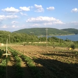 Pranzo di Ferragosto in Agriturismo Arezzo!