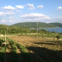 Pranzo di Ferragosto in Agriturismo Arezzo