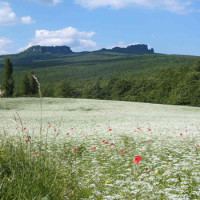 Parco naturale di Carpegna e Sasso Simone e Simoncello