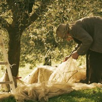 Agriturismo Le Ceregne Bio - coltivare biologico)