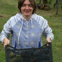 Agriturismo Le Ceregne Bio - La vendemmia