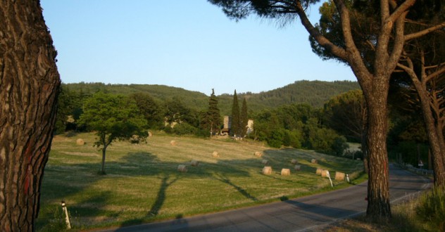 Agriturismo BIO in Toscana vicino Arezzo. Raggiungici sul Lago di Montedoglio in Valtiberina