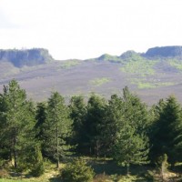 Parco Carpegna e parco naturale Sasso di Simone e Simoncello