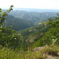 Foreste Casentinesi (AREZZO) - Toscana