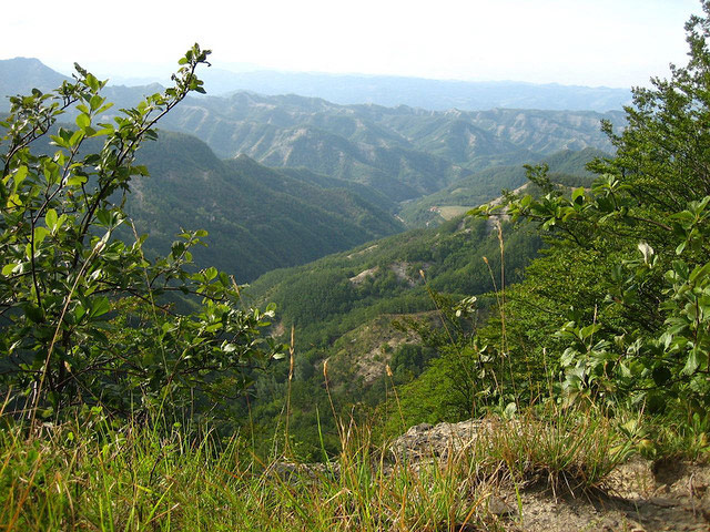 Foreste Casentinesi (AREZZO) - Toscana