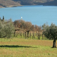 Offerta Pranzo 25 Aprile in Agriturismo Arezzo