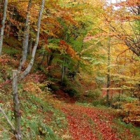 Valtiberina - cammino di San Francesco