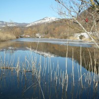 pesca-in-acqua-dolce-in-toscana-fiume-lago