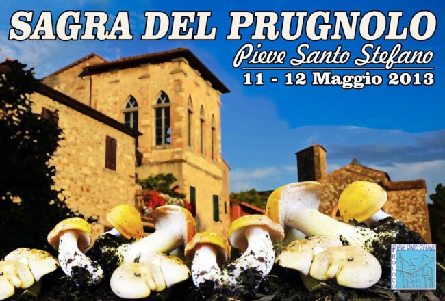 funghi_prugnoli_Toscana