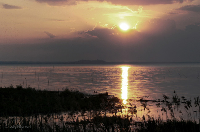 Lago_Trasimeno