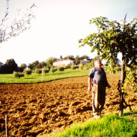 Agriturismo Le Ceregne Bio - coltivare biologico