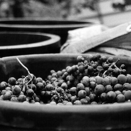 Hai mai fatto il vino in Toscana? Vivi con noi la vendemmia in Valtiberina!