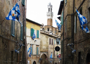 Siena1