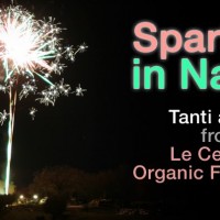 Cenone di Capodanno 2019 | Agriturismo Bio Arezzo