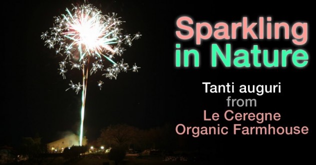 Cenone di Capodanno 2019 | Agriturismo Bio Arezzo