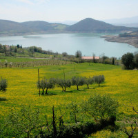 LASTMINUTE OFFERTE PASQUA IN TOSCANA AGRITURISMOcana