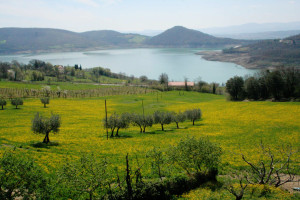 Offerte Ponte dell' Immacolata e Sant' Ambrogio 2014 | Agriturismo Biologico Toscana