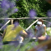 Yoga nel verde dalla Valtiberina Toscana