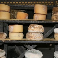 Pecorino toscano di montagna