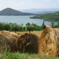 agriturismo-bio-nelle-colline-toscane