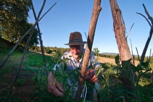 Nonno Armando nel suo orto!