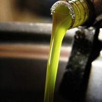 Olio extra verigine di oliva da Olivo Gentile della Valtiberina