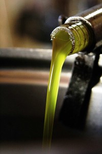 Olio extra verigine di oliva da Olivo Gentile della Valtiberina